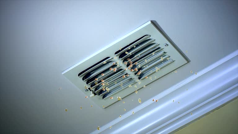 Best Air Duct Mold Removal  in Labelle, FL