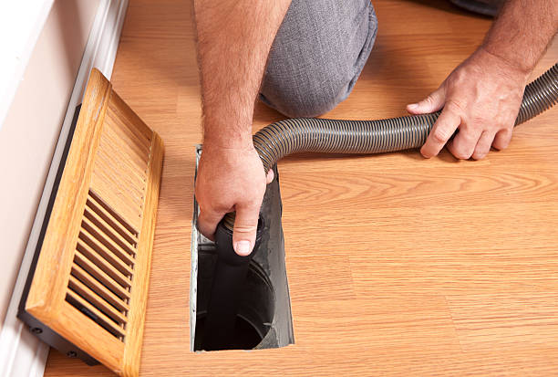 Air Duct Mold Removal in Labelle, FL