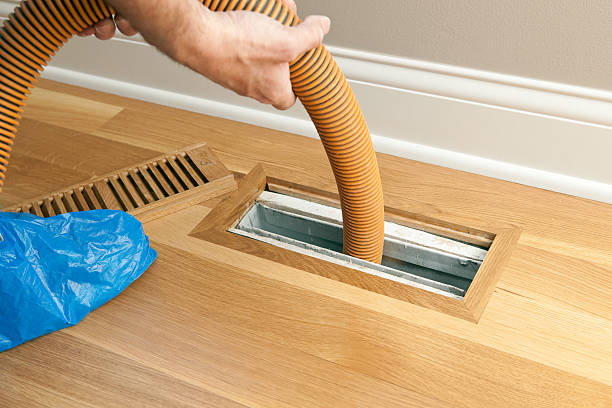 Best Affordable Duct Cleaning Services  in Labelle, FL